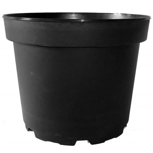 LARGE ROUND PLASTIC PLANT POTS. 4/5/7.5/10L. Packs of 10s