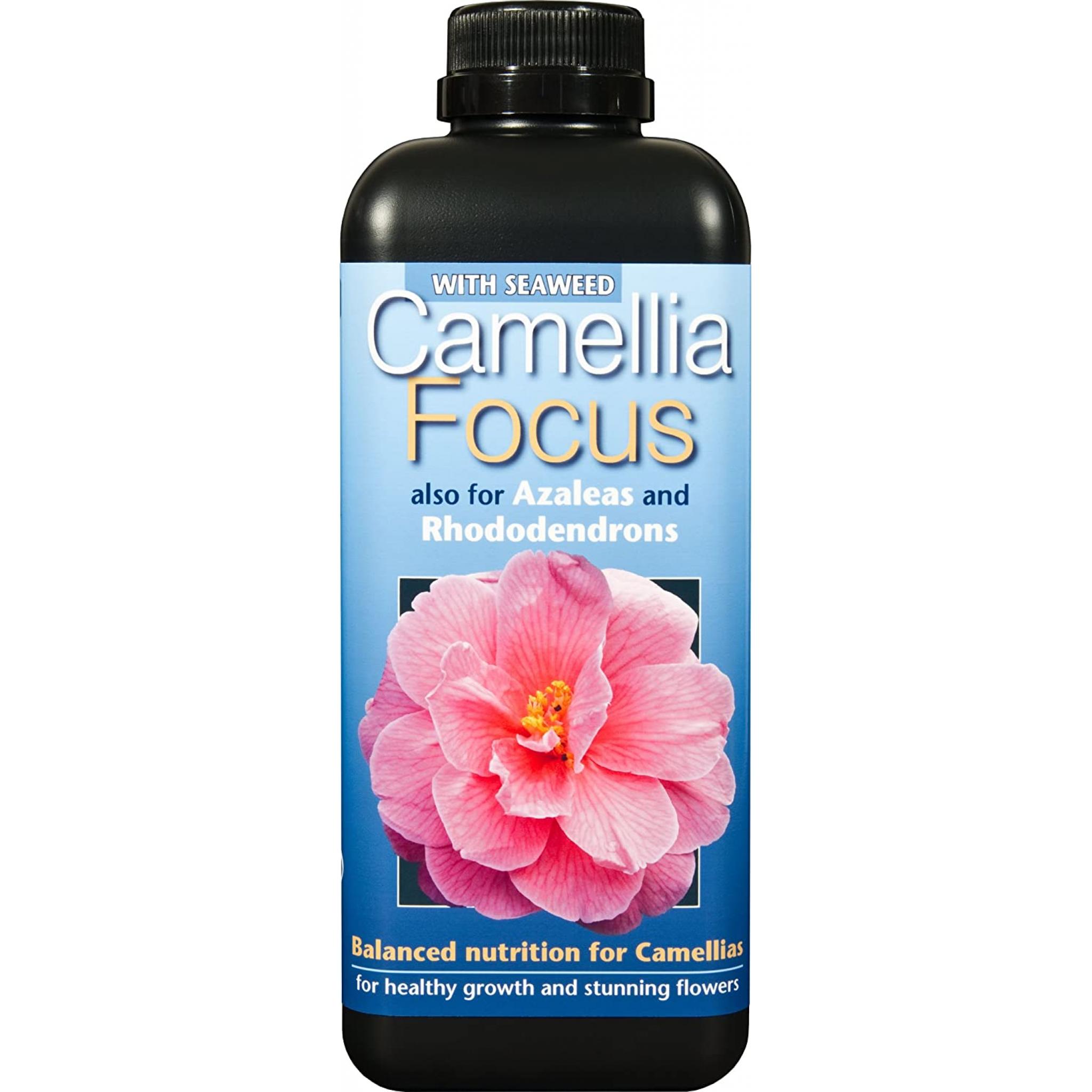 CAMELLIA FOCUS PLANT FEED. 300ml