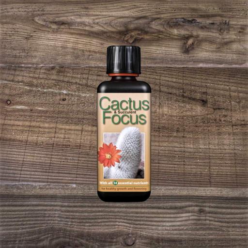 CACTUS AND SUCCULANT FOCUS PLANT FEED. 100ml and 300ml
