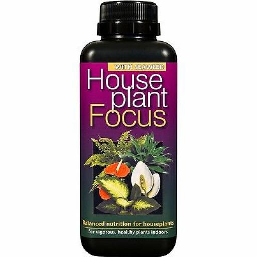 HOUSE PLANT FOCUS PLANT FEED. 100ml AND 300ml
