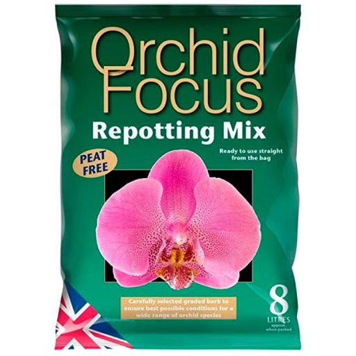 orchid 8.jpg