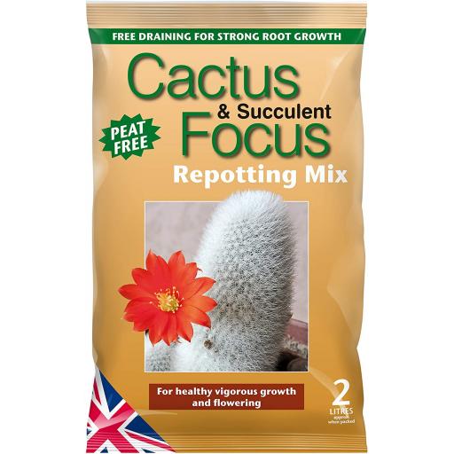 Cactus & Succulent Focus Repotting Mix Peat Free 2L