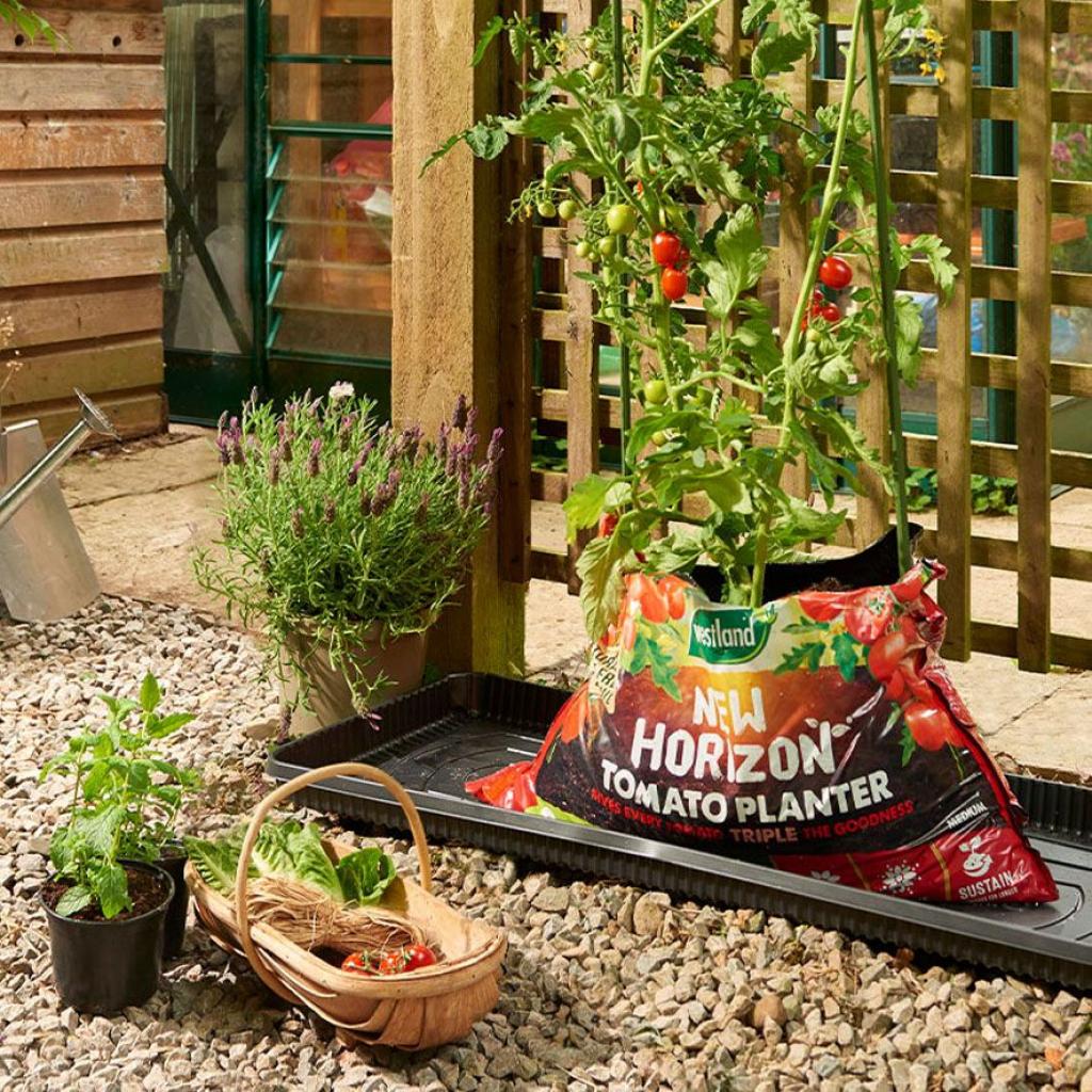 New Horizon Tomato Planter Compost Medium 30-35 Litre