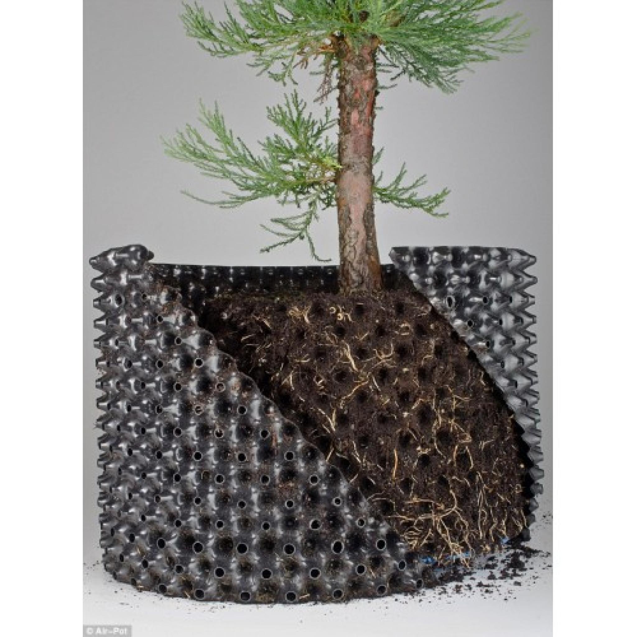 Air Pruning Pots . 5L and 12L