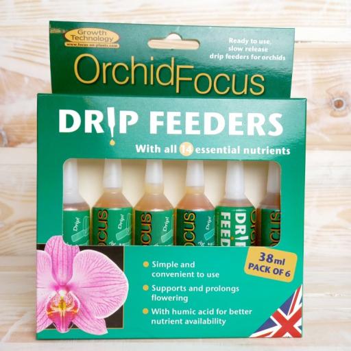 ORCHID FOCUS DRIP FEEDSERS 6PKT