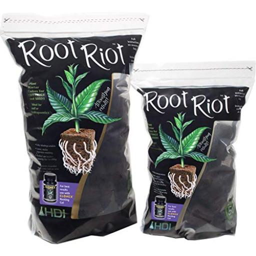 rootriot starter cubes packs of 50 and 100